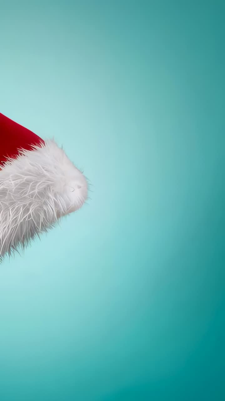 Vertical video: Sliding Santa hat entering left edge tilting across teal set, revealing fur trim