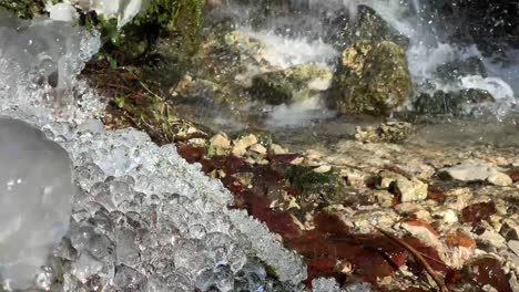 plantas congeladas y hierba alrededor de un río en invierno frío