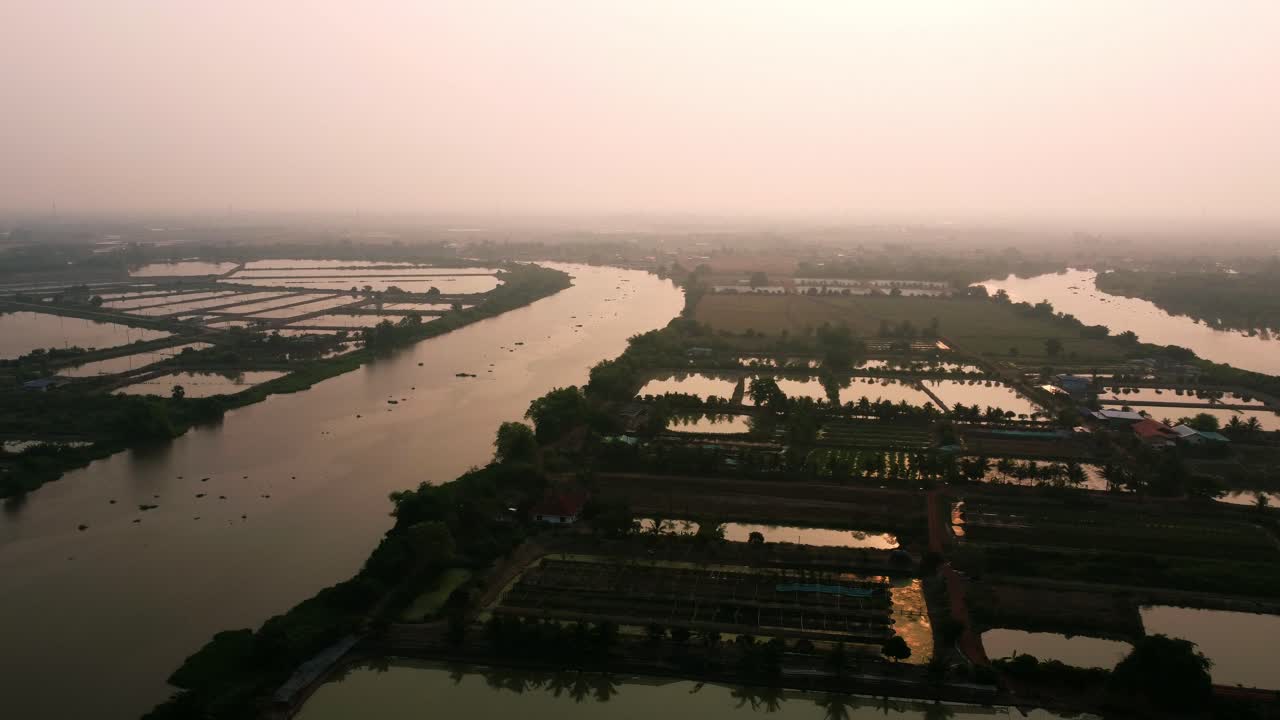 el entorno de vuelo plantas el bosque de vegetación y la orilla del río a la hora de la puesta del sol
