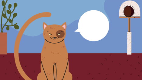 cute cat speaking mascot animation