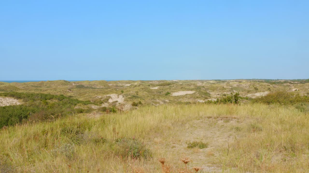 Serene Sand Dunes Landscape