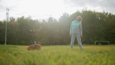 trainer performing neck retraction exercise on grassy football field during sunny morning while basenji dog sniffs ground nearby surrounded by lush greenery peaceful environment and natural setting