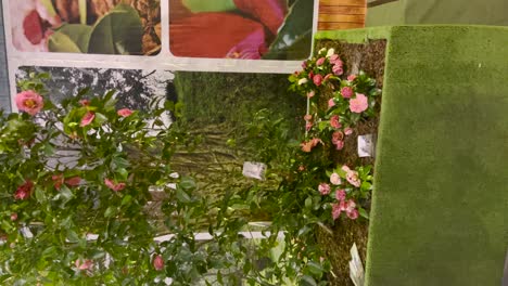 camellia flower exhibition
