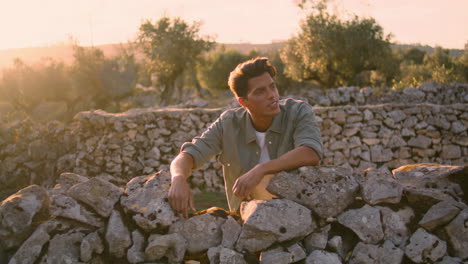 modelo sonriente relajando cerca antigua cerca. hombre deleitando la naturaleza verticalmente