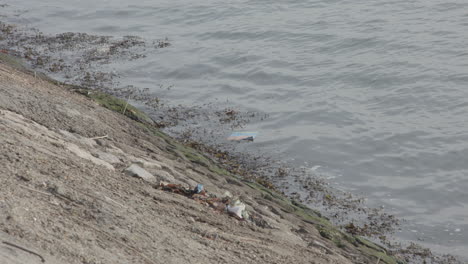 rubbish floating in sea at port - ungraded