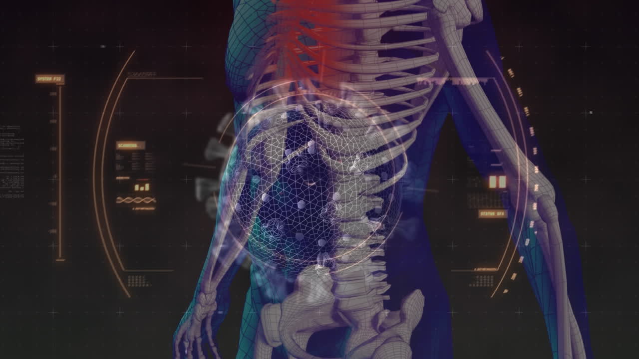 대형 코로나바이러스 코로나19 세포의 애니메이션은 인체의 골격 위에서 분석되었습니다.