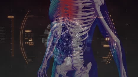 animación de la célula macro coronavirus covid-19 analizada sobre el esqueleto de un cuerpo humano