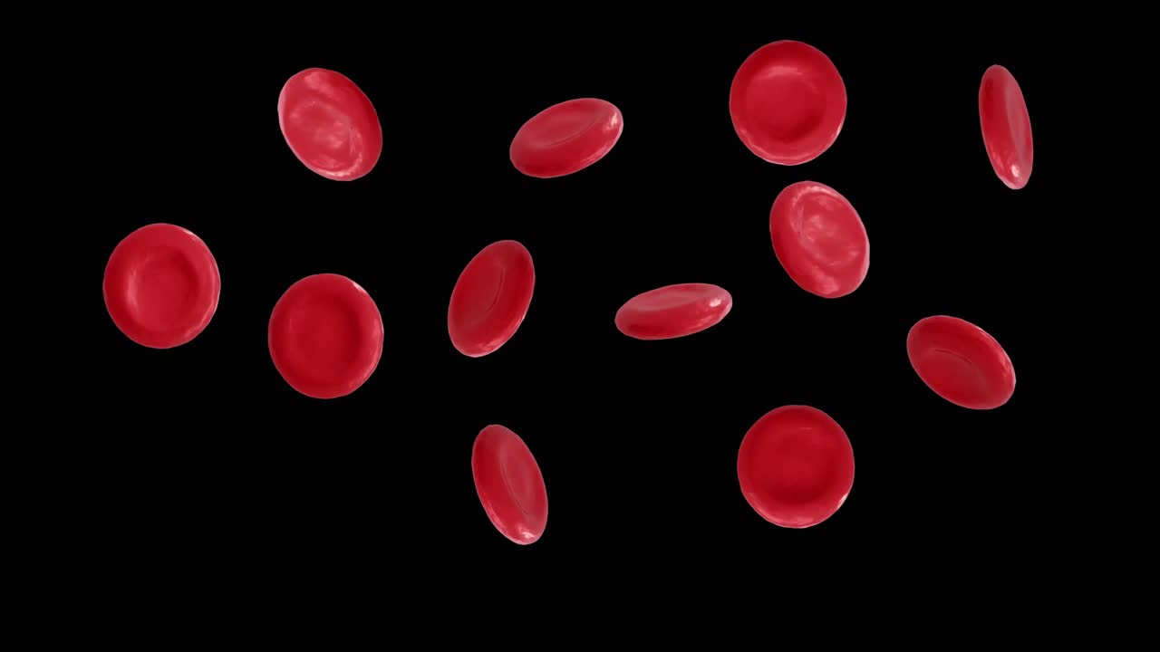animación de micro de células rojas de la sangre sobre un fondo negro