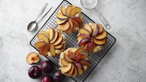 Hausgemachte-Streuselkuchen-Mit-Frischen-Pflaumenscheiben-Auf-Dem-Eisernen-Grillrost