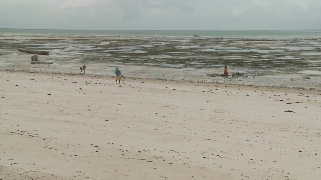 밀물의 시간 경과