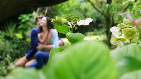 romantic couple sitting together in park