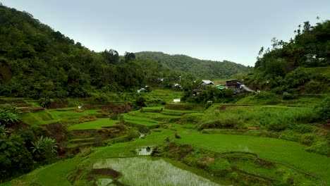 Empuje-De-Drones-Sobre-Una-Granja-De-Arrozales-Y-Un-Pequeño-Pueblo-Filipino-En-Un-Valle-Tropical