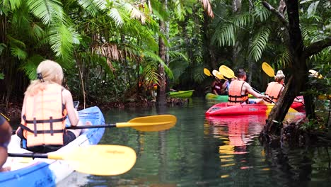 kayakers navigate lush, serene canal in krabi