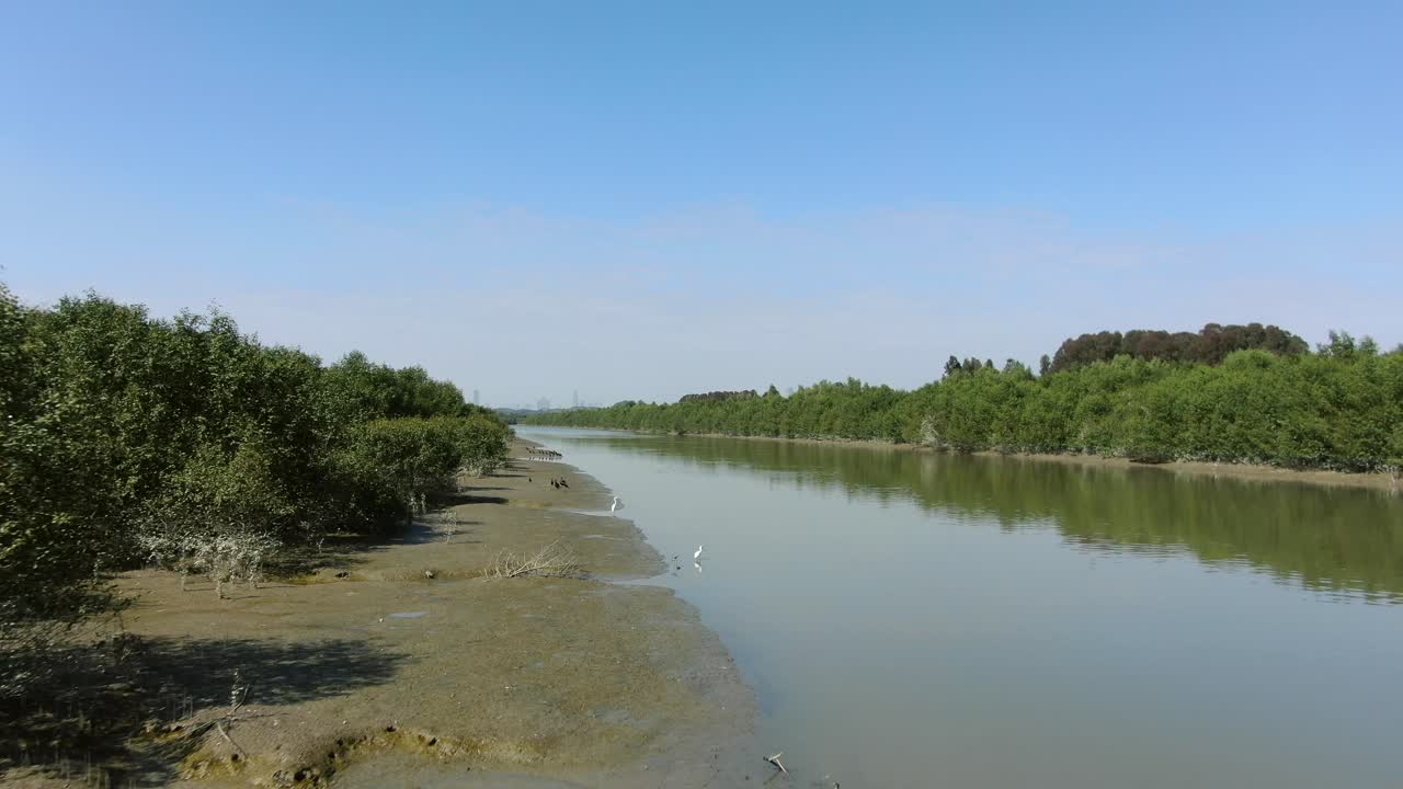 Mai Po Nature Reserve And Wetlands, Hong Kong, Aerial View Free Stock Video  Footage Download Clips