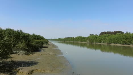 mai po nature reserve and wetlands, hong kong, aerial view