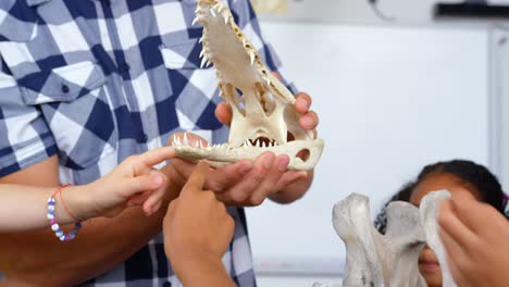 Mid-section-of-male-teacher-explaining-animal-skeleton-model-in-the-classroom--4k
