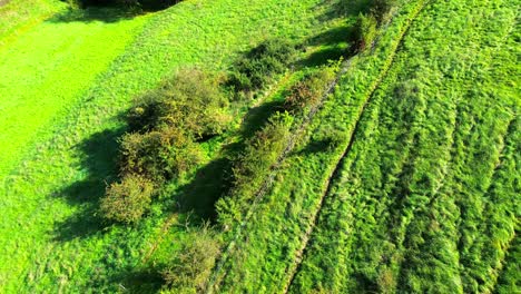 vista aérea de prados verdes y colinas onduladas 4k