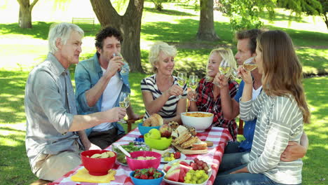 family having a picnic