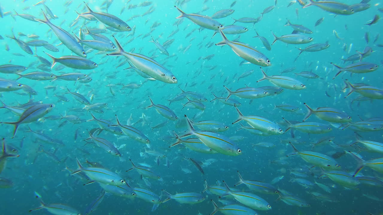 혼란스러운 물을 통해 내 부족과 붙어