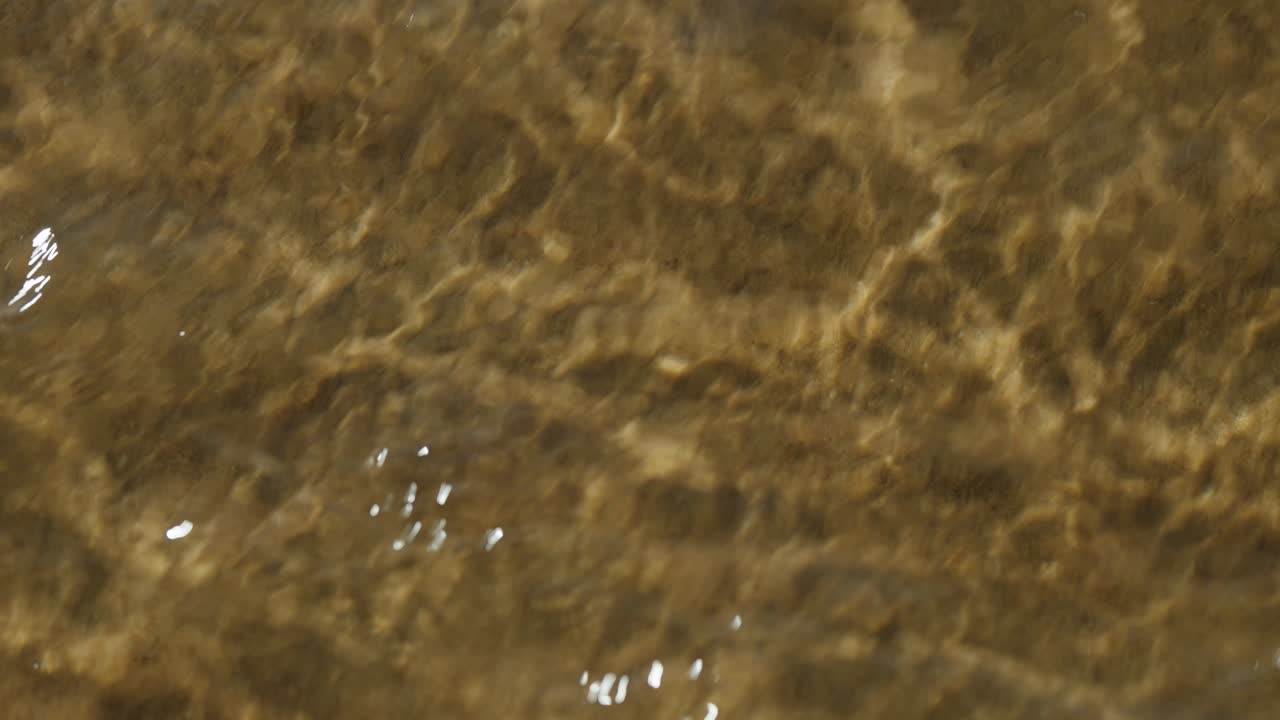 Soft sunlight sparkles on gentle ripples moving across smooth golden sand