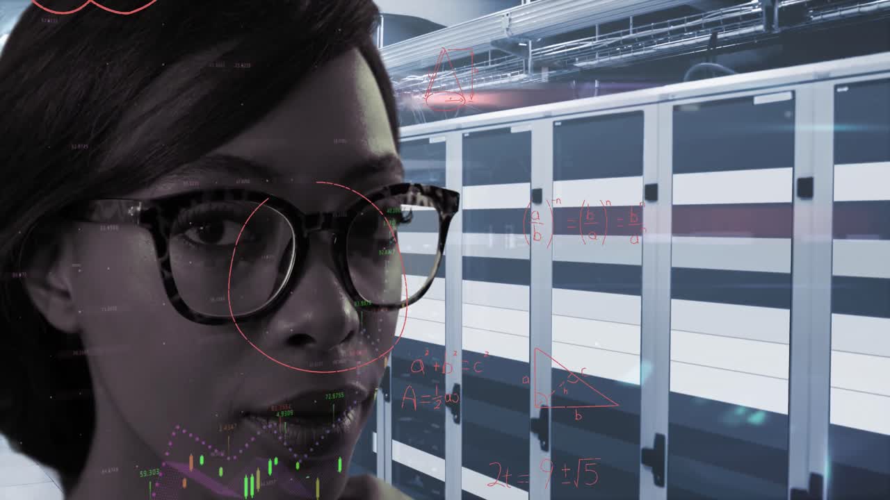 ecuaciones matemáticas sobre el retrato de una mujer en un servidor de computadora.