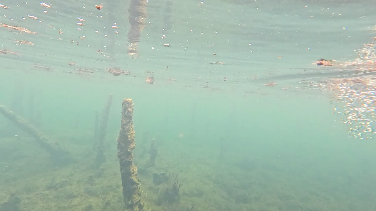 чистая вода с плавающими обломками в краби