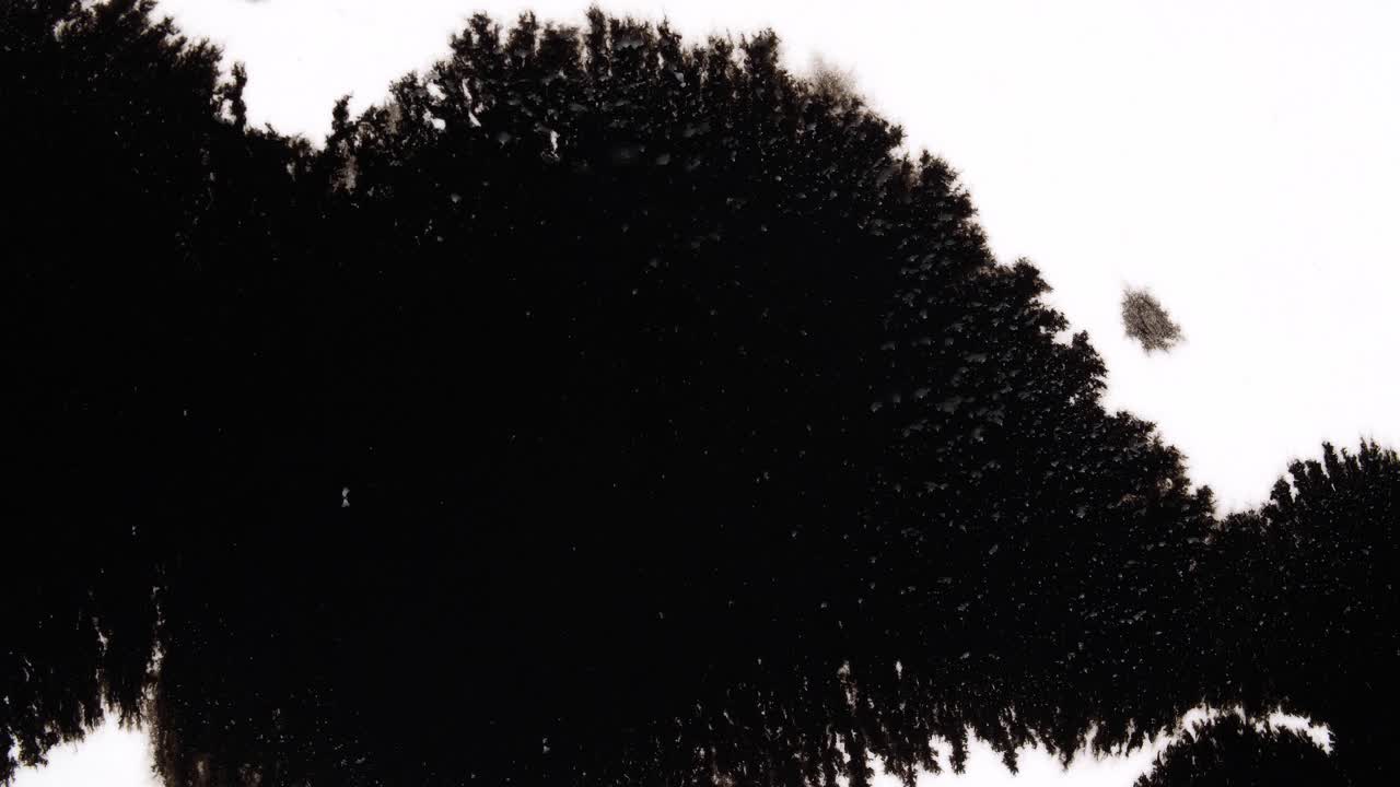 Black Ink Drops On White Background