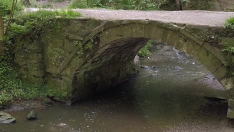 Bugs-floating-across-peaceful-old-forest-stone-bridge-over-lush-hiking-woodland-trails-stream