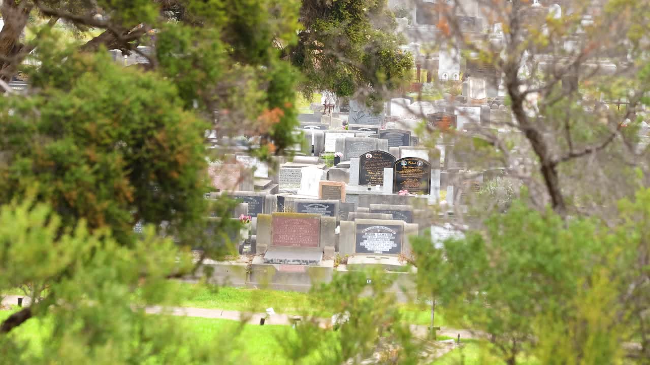 A peaceful cemetery scene framed by vibrant trees and foliage, captured in soft daylight at Point Lonsdale, Australia