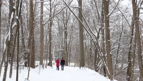 Ein-Paar-Bei-Einer-Winterwanderung-Im-Schnee