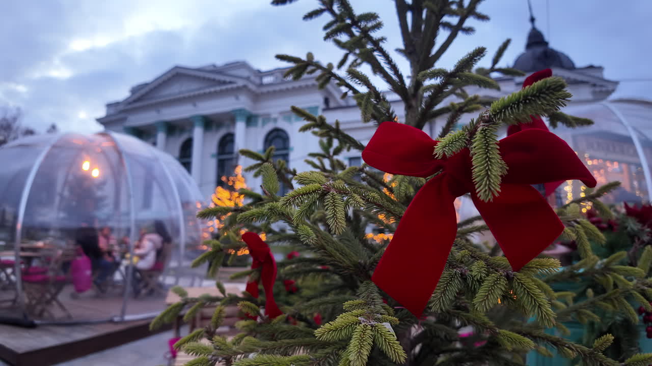 Red christmas decorations with fir tree branch in the evening