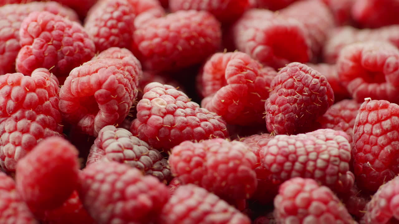 수분이 많은 레드 라즈베리 스핀