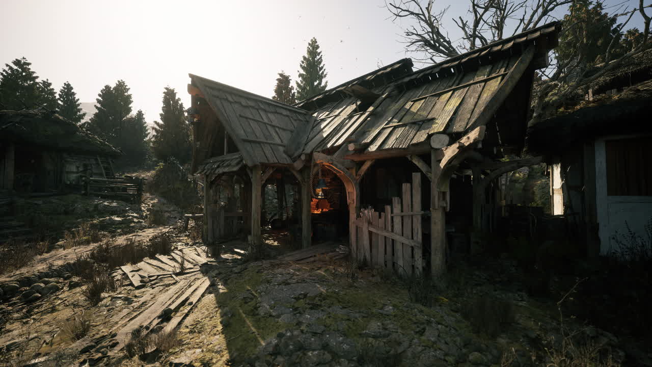 Abandoned wooden cabin in a forest during bright sunlight hours