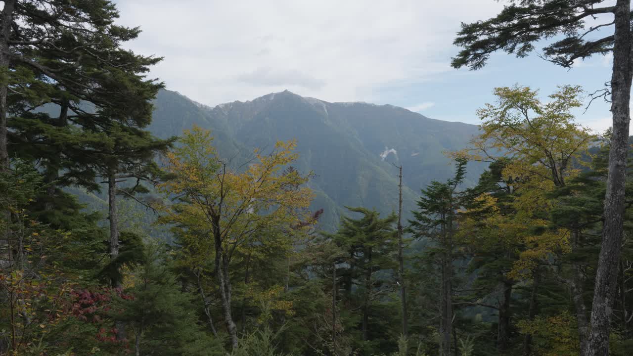 Views of mountain range and trees on Kitakdake hike in Japanese Alps, Japan