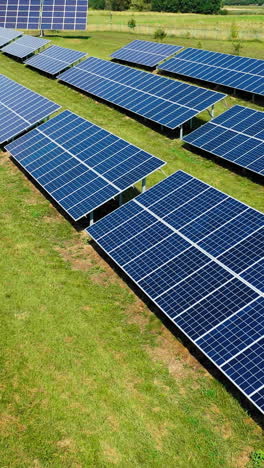 aerial view. top view on blue solar pannels. green energy. pannels in the field. vertical video