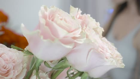 Lush-pink-roses-in-an-extreme-close-up-shot