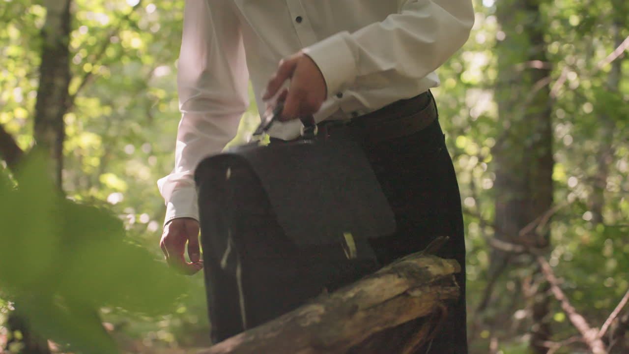 Scientific researcher in white shirt carrying backpack walking in forest places bag on branches, opens it and brings out white coat, surrounded by green leaves and sunlight