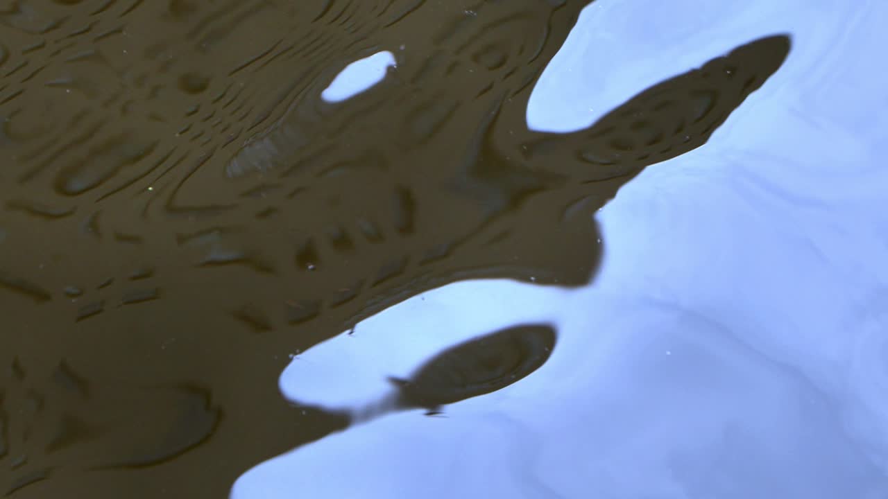 la hermosa vista en yokohama