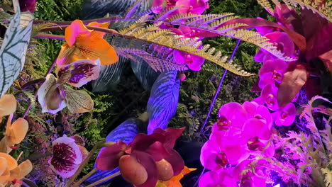 Panning-shot-over-beautiful-tropical-flowers-and-ferns