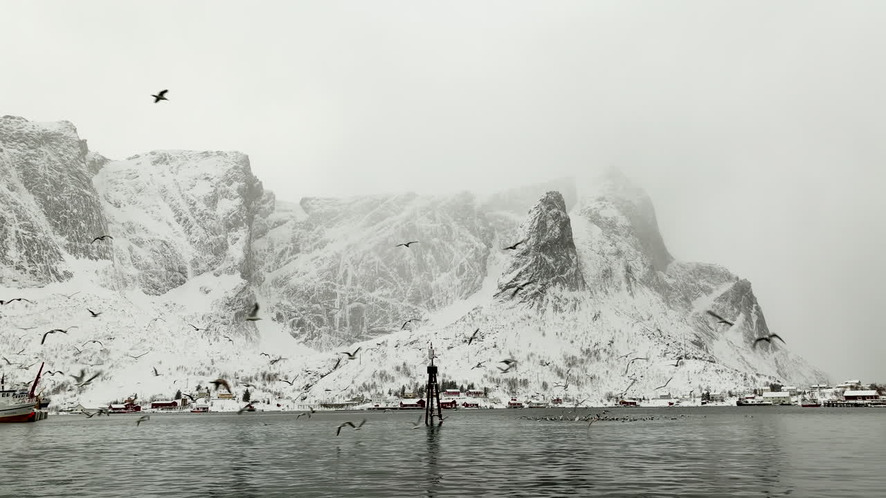 극적인 눈  ⁇ 인 산과 함께  ⁇ 시 마을에서 바다새를 무리 지어, 여왕