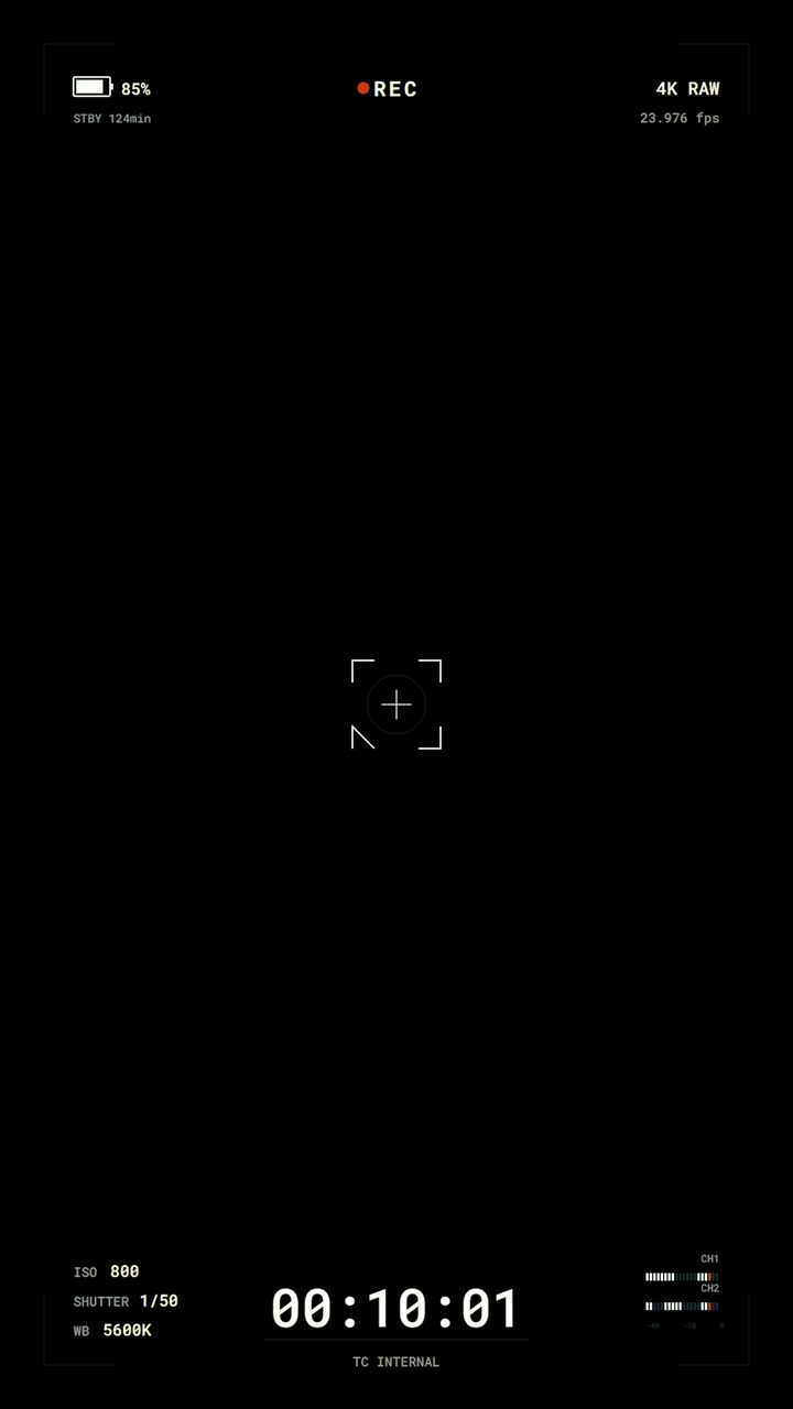 Digital Camera Recording Interface Overlay with Timecode