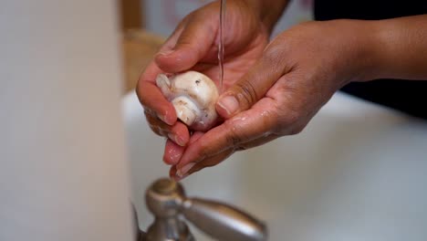 Washing-mushrooms-in-the-running-water-in-the-kitchen-sink---slow-motion