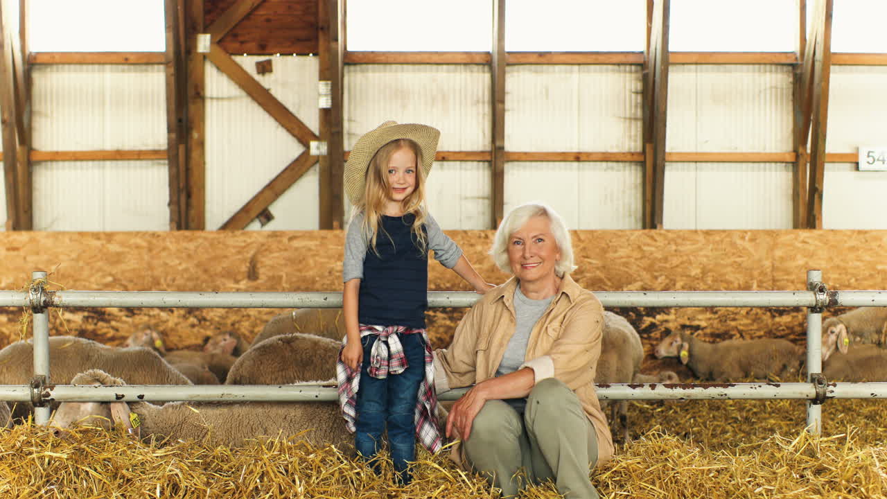 retrato de la abuela caucásica y su nieta sonriendo a la cámara mientras se sientan juntos en el establo con el rebaño de ovejas