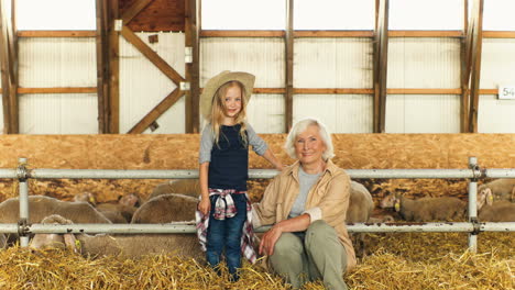 portrait of caucasian grandmother and her little granddaughter smiling at camera while sitting together in stable with sheep flock