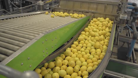 Capture-the-vibrant-allure-of-nature's-bounty-with-this-drone-footage-gliding-over-neatly-stacked-crates-of-luscious-lemons-in-storage