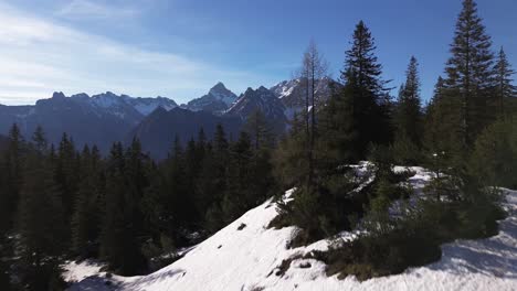 Drone-rise-above-Trees-and-Reveal-Alpine-Winter-Mountain-Landscape-with-Snow-covered-Summits-in-Bludenz,-Austria,-Europe