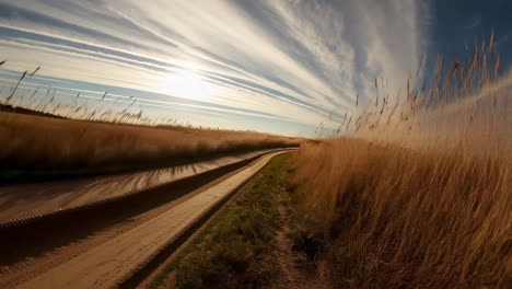 scenic country road at sunrise/sunset