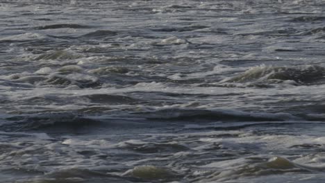 close-up of choppy water with waves and ripples, fast movement and texture of river stream. slow motion