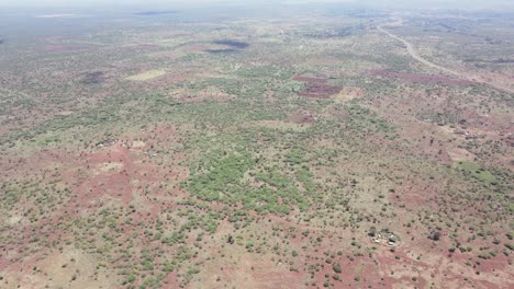 Baumsträucher-Der-Afrikanischen-Wüste-In-Kenia-Loitokitok