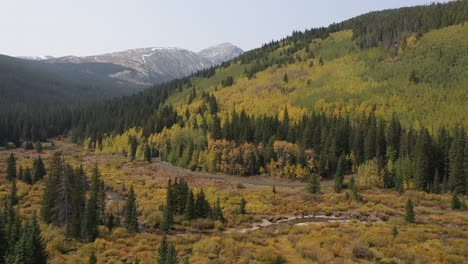 green yellow fall landscape in colorado usa pines and aspens by countryside road drone aerial view